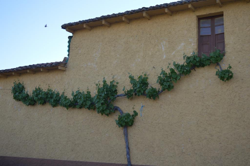 Penzion Casa Rural Los Llaganos Villaturiel Exteriér fotografie